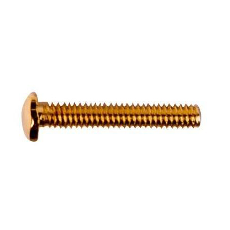 1.4 x 10.0 x 2.5 Gold Rimless Hex Head Trim Screw (pack of 50)